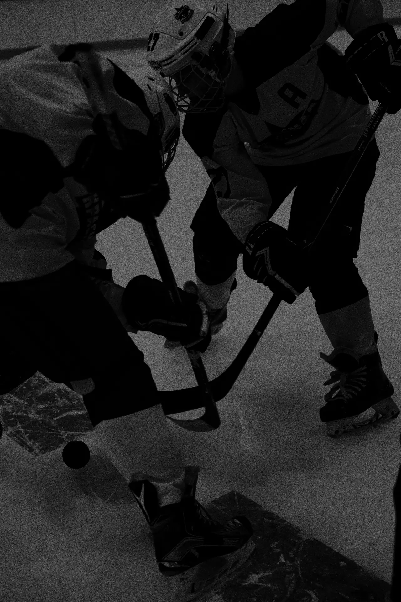 Two hockey players leaning into a face-off, sticks crossed over the puck.